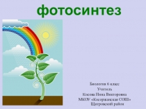 Презентация к уроку биологии в 6 классе по теме Фотосинтез