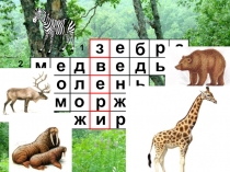 Презентация к уроку окружающего мира на тему Звери