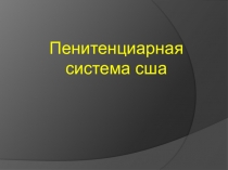 пенитенциарная система Соединенных Штатов Америки
