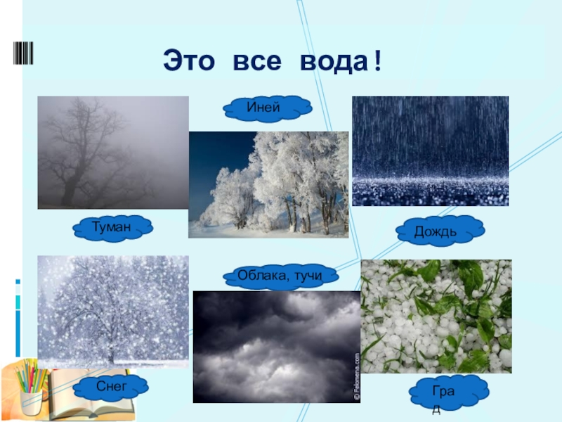 Иней роса туман. Иней это осадки. Изображение осадков. Осадки дождь снег. Осадки в виде снега.