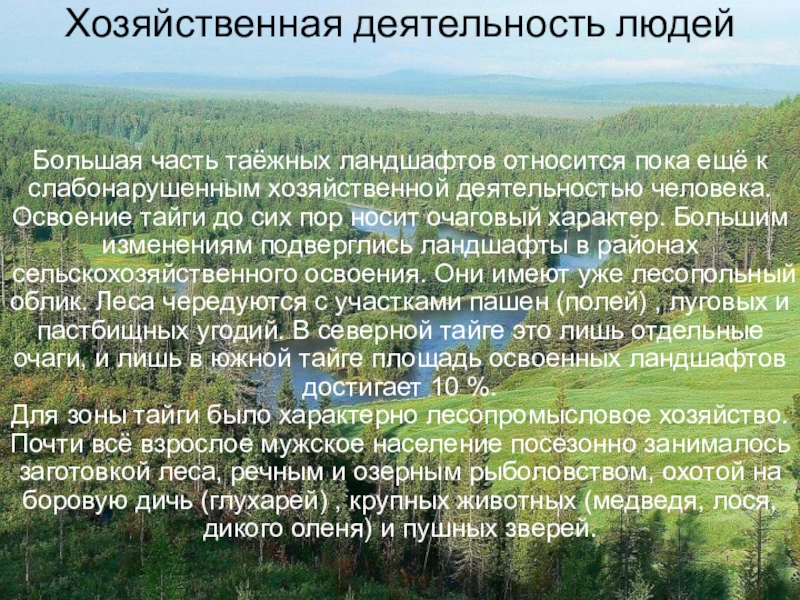 Природа хозяйственные зоны россии