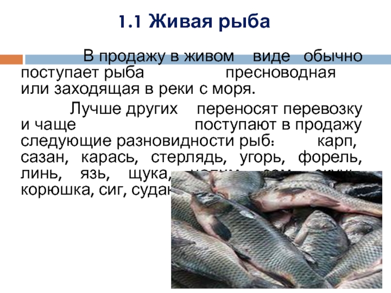 Прогноз рыбы на краснодаре. Какая рыба поступает в продажу в живом виде. Виды рыб Живая. Поступление рыбы. Виды рыб в продаже.