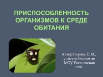 Презентация к уроку Приспособленность организмов к условиям обитания