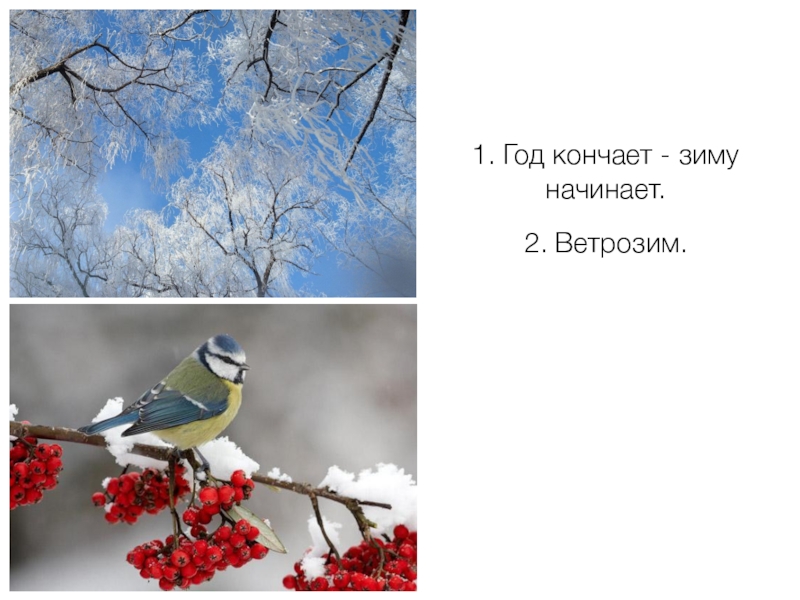 Зима 2 класс. В гости к зиме окружающий мир. Окружающий мир в гости к зиме красота зимы. В гости к зиме 2 класс окружающий мир. Окр мир тема в гости к зиме.