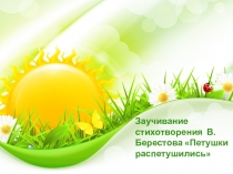 Презентация к НОД по речевому развитию Заучивание стихотворения В.Берестова Петушки распетушились