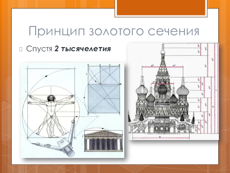 Принцип золотого. Принцип золотого сечения. Золотое сечение эскиз. Линейка золотого сечения. Графика золотого сечения работа.