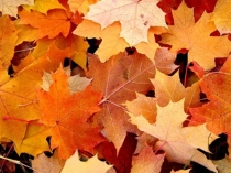 Презентация по химии на тему: ХИМИЧЕСКИЕ ФОРМУЛЫ. ОТНОСИТЕЛЬНАЯ АТОМНАЯ И МОЛЕКУЛЯРНАЯ МАССЫ (8 класс)