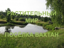 Презентация по биологии 6 класс Летнее задание 2015-2016 уч. год