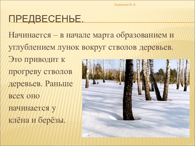 Презентация сезонные изменения в живой природе 9 класс биология