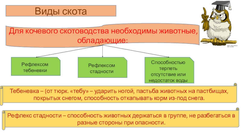 Виды кочевого хозяйства. Виды кочевого скотоводства. Причины появления кочевого скотоводства. Типы скотом. Кочевой скотоводство где развивалось.