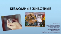 Презентация к исследовательской работе Бездомные животные