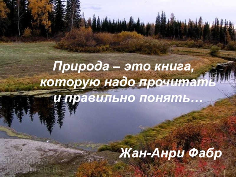 Природа это важно. Природа это книга которую надо прочитать и правильно. Природа это красивое определение. Почему природа это книга которую надо прочитать и понять. Природа это в литературе определение.