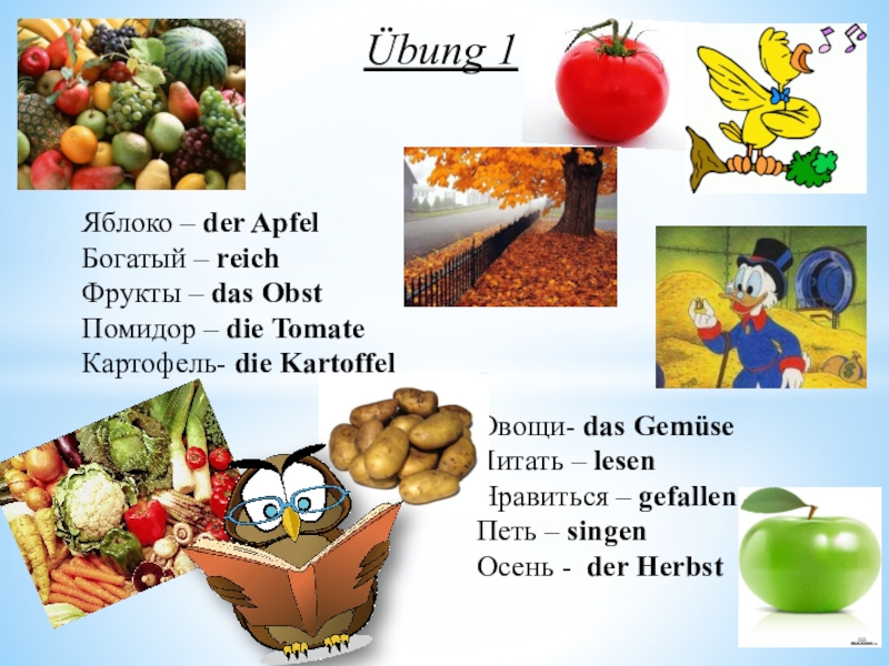 Презентация с заданиями Übung