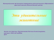 Презентация к уроку Эти удивительные животные