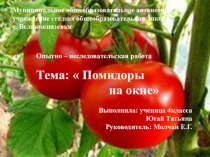 Презентация научно -исследовательской работы по теме Помидоры на окне