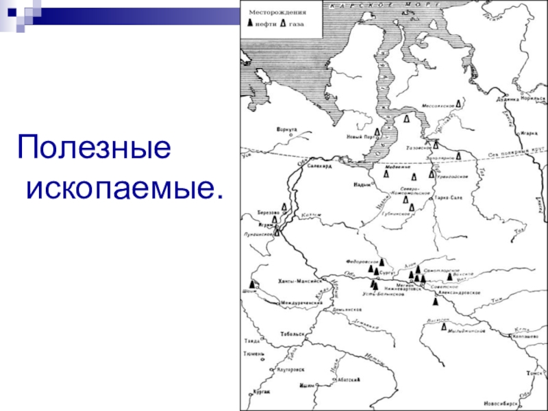 Западная сибирь карта полезных ископаемых