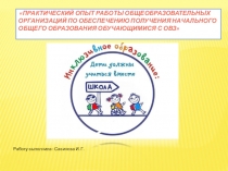 Практический опыт работы общеобразовательных организаций по обеспечению получения начального общего образования обучающимися с ОВЗ
