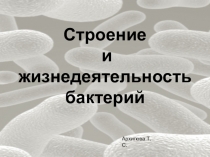 Презентация по биологии Строение и жизнедеятельность бактерий