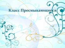 Презентация по биологии на тему Класс Пресмыкающиеся (7 класс) ФГОС