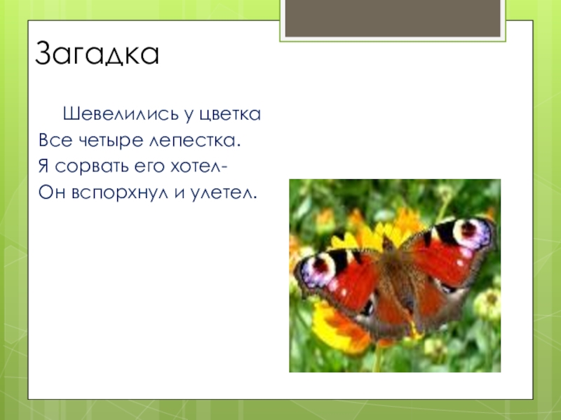 Презентация почему нельзя рвать цветы и ловить бабочек 1 класс школа россии