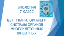 Презентация по Биологии на тему &37. Ткани, органы и системы органов многоклеточных животных.  (7 класс)