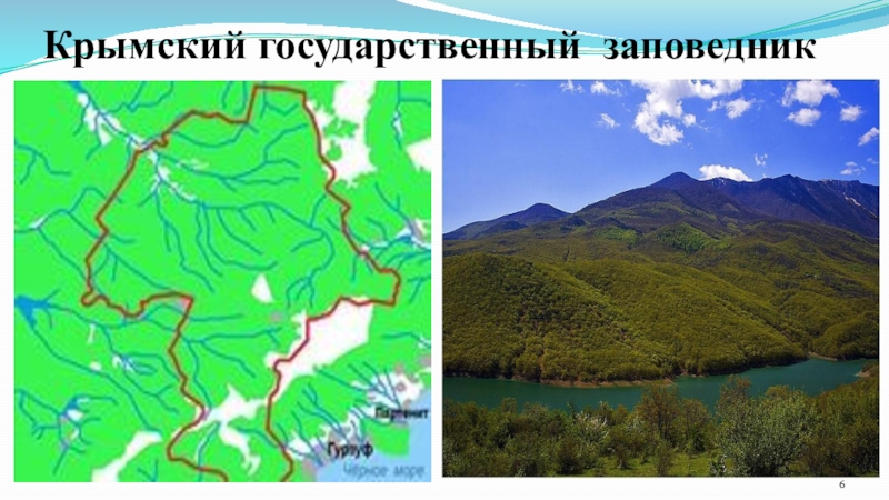 Карта ялтинского заповедника. Крымский природный заповедник карта. Крымский природный заповедник схема. Крымский заповедник границы на карте. Границы Крымского природного заповедника на карте.