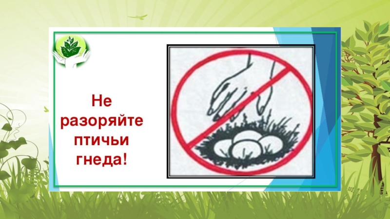 ПРЕЗЕНТАЦИЯ К КЛАССНОМУ ЧАСУ 1 КЛАСС НА ТЕМУ ПРИРОДА И МЫ