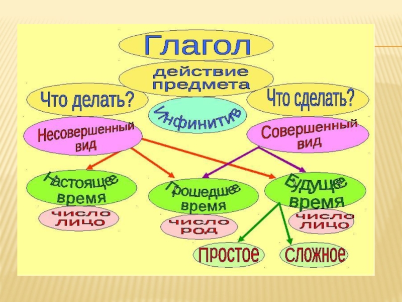 Проект по глаголу 3 класс