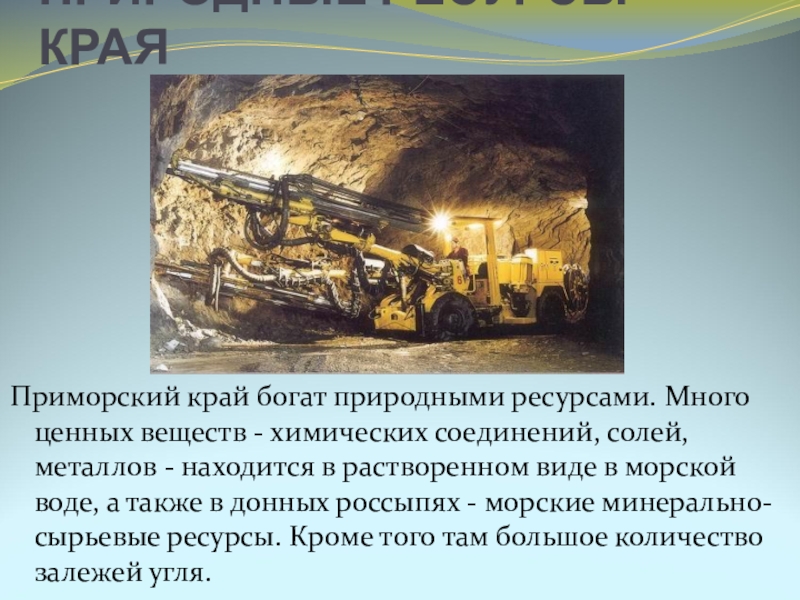 Природные ресурсы края. Природные ресурсы Приморского края. Богатство Приморского края. Природные ресурсы Приморского края таблица. Природные ископаемые Приморского края.