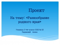 Презентация по окружающему миру Разнообразие природы родного края