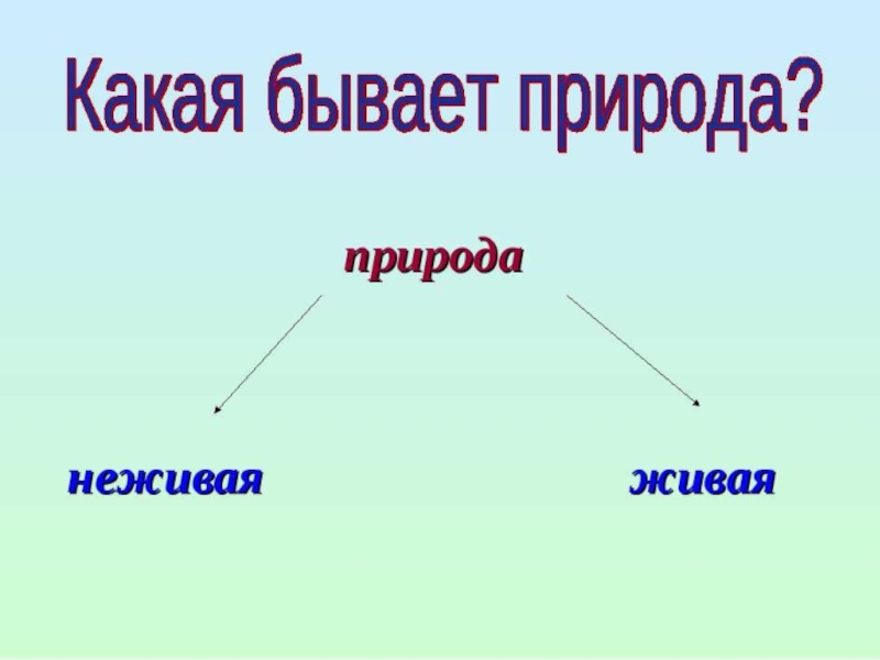 Что такое природа 2 класс. Какая бывает природа Живая и неживая. Какая бывает неживая природа. Природа бывает Живая и неживая 2 класс окружающий мир. Какая бывает природа 2 класс.