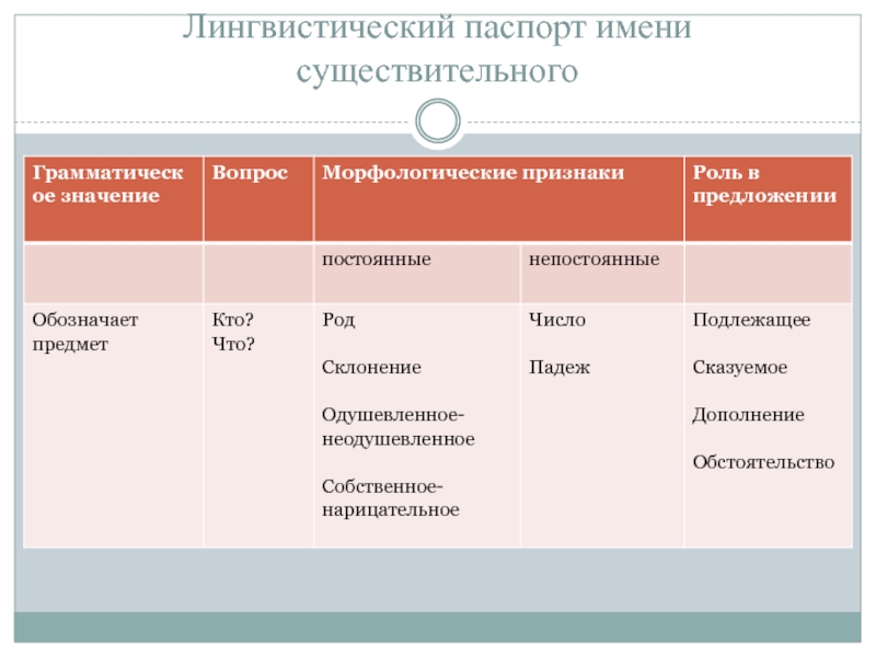 Проект паспорт имени существительного