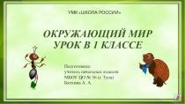 Урок по окружающему миру для 1 класса на тему: Что такое хвоинки? (УМК Школа России)