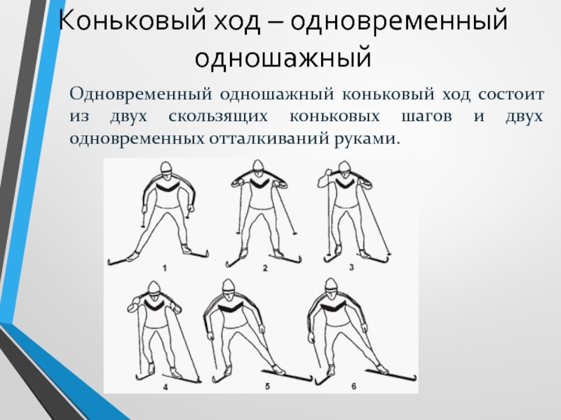 Коньково лыжные ходы. Одновременный одношажный коньковый ход. Лыжная подготовка коньковый ход. Коньковый ход и его разновидности. Коньковый вид катания на лыжах.