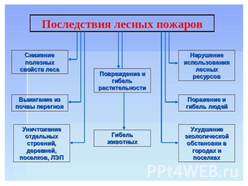 Основные последствия лесных пожаров. Последствия лесных пожаров. Экологические последствия природных пожаров. Последствия лесных пожаров кратко. Экологические последствия лесных пожаров.