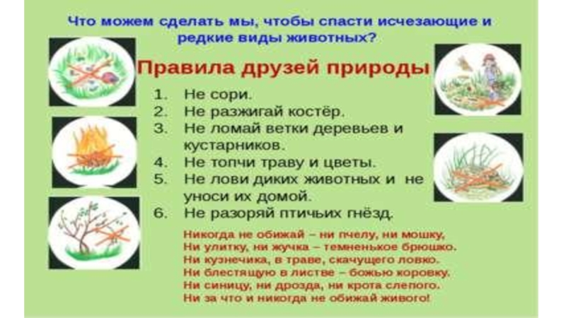 Правила друзей природы 2 класс окружающий. Пять правил друзей природы. Памятка друзей природы. Правила друзей природы 2. Сформулировать правила друзей природы.