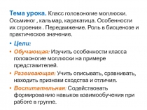 Презентпция по биологии на тему Моллюски (7 класс)
