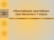 Презентация к уроку биологии на тему Многообразие простейших