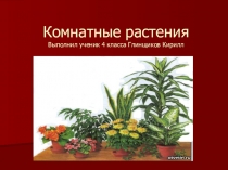 Презентация к уроку окружающего мира на тему Комнатные растения