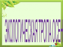 Экологическая тропа осенью