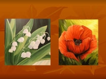 Презентация по биологии на тему: Виды соцветий (7 класс) Vlll-й вид