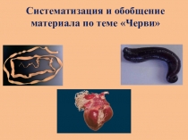 Презентация по биологии на тему Черви