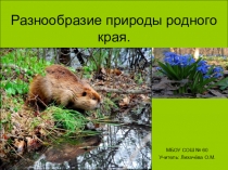 Презентация по окружающему миру на тему: Природа родного края