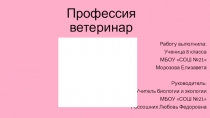 Презентация к уроку Профессия ветеринар