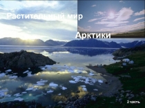 Презентация АРКТИКА - ЦАРСТВО СНЕГА и ЛЬДА