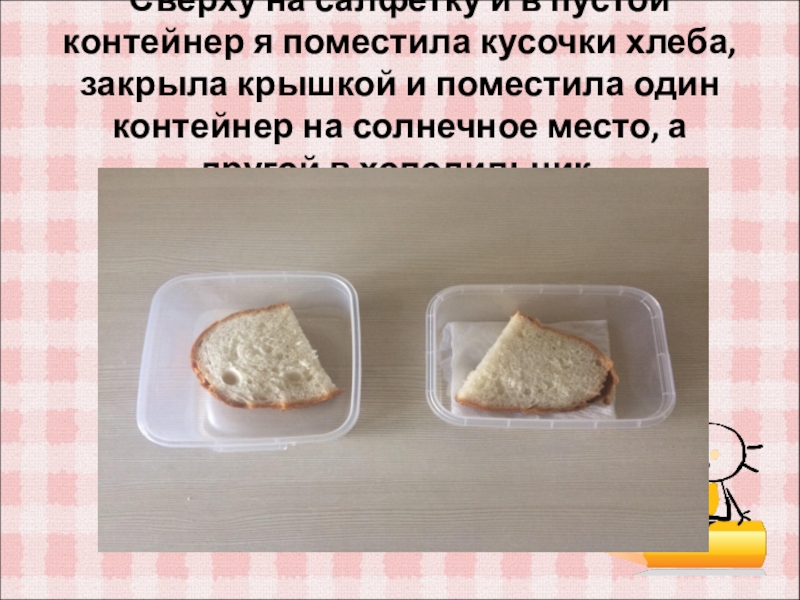 Положи на 10 минут. Опыт с хлебом и плесенью. Эксперимент с хлебом. Опыт с тремя кусочками хлеба. Кусок хлеба.