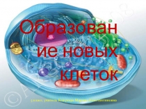 Презентация по биологии на тему Образование новых клеток (5 класс)