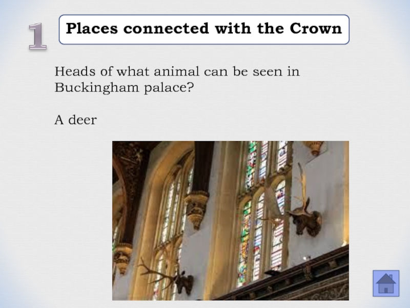 Places connected with the CrownHeads of what animal can be seen in Buckingham palace? A deer