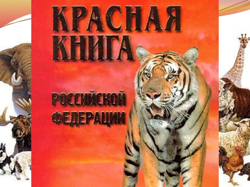 Фото красной книги мира