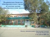 Мои достижения за 3 учебных года